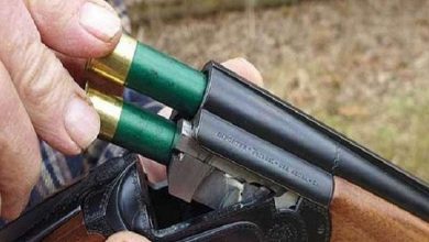 Photo of ضربه ببندقية خرطوش.. ضبط المتهم بالاعتداء على مواطن بقرية ورورة مركز بنها