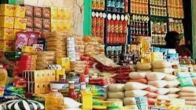 Photo of محافظ القاهرة يفتتح 10 منافذ بيع بأسعار مخفضة