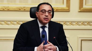 Photo of رئيس الوزراء يناقش إقامة مشروعات الهيدروجين الأخضر بمصر