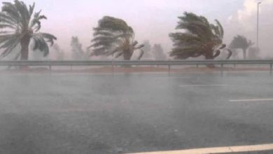 Photo of محافظ الإسكندرية يعلن أجازة رسمية غدا بسبب سوء الأحوال الجوية