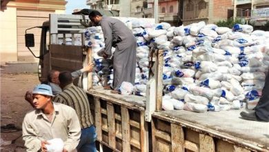 Photo of الأوقاف: توزيع 100 ألف شنطة غذائية على 4 محافظات