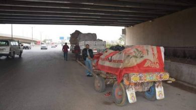 Photo of محافظ القليوبية يوجه بإزالة الإشغالات والباعة الجائلين أسفل كوبري الطريق الإقليمي 