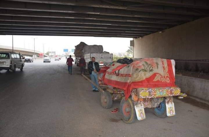 Photo of محافظ القليوبية يوجه بإزالة الإشغالات والباعة الجائلين أسفل كوبري الطريق الإقليمي 
