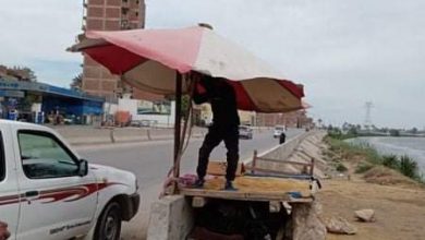 Photo of حملات مكبرة لإزالة التعديات ومخالفات البناء بالخصوص والخانكة وقليوب