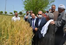 Photo of محافظ القليوبية يتفقد عددا من صوامع الغلال استعدادا لموسم القمح ويحث المواطنين توريد القمح 
