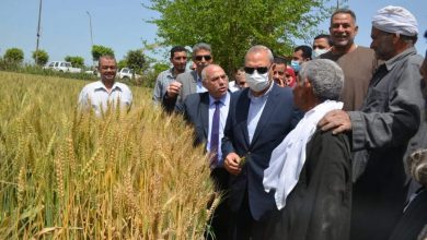 Photo of محافظ القليوبية يتفقد عددا من صوامع الغلال استعدادا لموسم القمح ويحث المواطنين توريد القمح 
