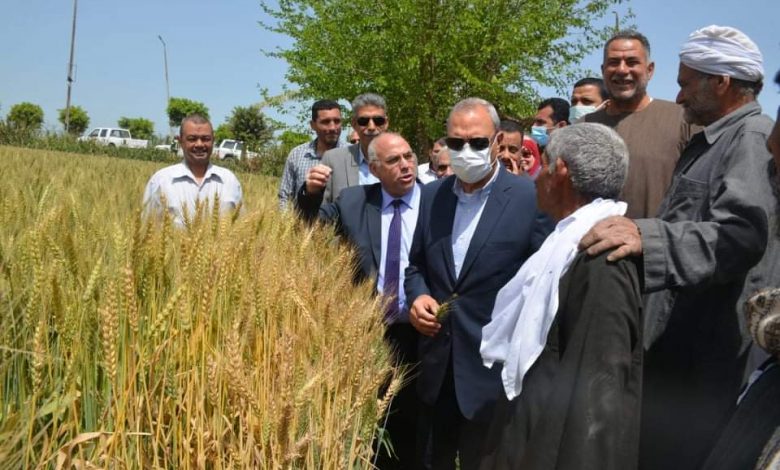 Photo of محافظ القليوبية يتفقد عددا من صوامع الغلال استعدادا لموسم القمح ويحث المواطنين توريد القمح 