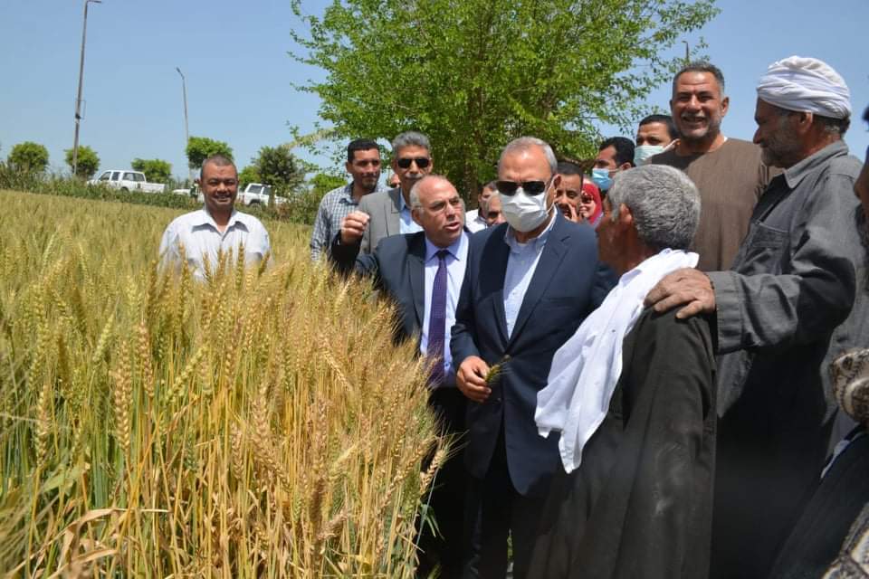 محافظ القليوبية يتفقد عددا من صوامع الغلال استعدادا لموسم القمح ويحث المواطنين توريد القمح في موعده ************************************** أكد عبد الحميد الهجان/ محافظ القليوبية أن موسم حصاد وتوريد القمح هذا العام يعد موسما إستثنائياً يحتاج إلى تضافر جميع الجهود لإحكام السيطرة والرقابة على أعمال التوريد للصوامع والشون المخصصة لإستقبال القمح وذلك لإستلام أكبر كمية حفاظاً على مكتسبات الدولة والأمن الغذائي لها، مشدداً على ضرورة إتباع كافة إجراءات السلامة في نقل وتخزين القمح. جاء ذلك خلال الجولة التي قام بها المحافظ لمتابعة عدد من الصوامع استعدادا لاستقبال الأقماح وتفقد عدد من الحقول الإرشادية للإلتقاء بالمزارعين والتحدث اليهم وحثهم على توريد القمح في موعده، وجاءت الجولة بحضور كل من المهندس/ حسن زايد وكيل وزارة الزراعة، وعربي عبد الحليم مدير مديرية التموين وخالد العرفي رئيس مدينة شبين القناطر، والعميد خالد كشك رئيس مدينة الخانكة، وحمادة وهدان نائب رئيس مدينة بنها، وأحمد جمعة نائب رئيس مدينة قليوب. وبدأ المحافظ الحولة بتفقد حقل إرشادي بحوض وجه البلد بقرية ناي بقليوب على مساحة 5 أفدنة وحوض إرشادي آخر بمدينة شبين القناطر بحوض المواريس على مساحة 7 أفدنة والتقى المحافظ بأصحاب الحقول والمزارعين والفلاحين بتلك القرى وتحدث إليهم حديثا اتسم بالود وبث روح الوطنية تقديرا لدورهم الهام بالمجتمع مطالبا منهم التكاتف والتعاون مع أجهزة الدولة خلال فترة موسم حصاد القمح حفاظا على أمن مصر الغذائي وتوريد محصول القمح في موعده مؤكدا أن المحافظة اتخذت كافة الإجراءات والتيسيرات في عملية استقبال الأقماح وسيتم صرف المستحقات خلال 48 ساعة كحد أقصى . كما تفقد المحافظ خلال جولة اليوم صوامع بنها على طريق القاهرة اسكندرية الزراعي وتقع الصوامع على مساحة 16350 م2 وتتكون من 12 خلية تخرين بسعة الخلية الواحدة 5000طن بإجمالي سعة تخزينية 60 ألف طن قمح بالإضافة إلى عدد 3 خلايا صرف سعة الواحدة 100 طن. كما تفقد المحافظ أيضا مجمع صوامع عرب العليقات بمدينة الخانكة ويتكون المشروع من 18 خلية لتخزين الغلال، بسعة إجمالية للمشروع تبلغ 90 ألف طن غلال للموسم، بتكلفة إجمالية 300 مليون جنيه، حيث تستوعب الخلية الواحدة 5000 طن قمح، وهي تعد من أكبر الصوامع على مستوى الجمهورية ويشتمل المشروع على وحدة تحكم إليكترونية تدير المشروع بالكامل بأحدث أساليب التقنية والتكنولوجيا الحديثة. وشدد المحافظ على رؤساء المدن والأحياء بمراجعة كشافات أعمدة الإنارة المحيطة بصوامع الغلال للتأكد من جاهزيتها وإنارتها ليلاً لتسهيل عملية تسليم وإستلام الأقماح. ووجه المحافظ وكيل وزارة التموين بالتنسيق مع مديرية الزراعة ورؤساء المراكز والمدن وإدارة المرور برفع درجة الإستعداد القصوى لإستقبال الأقماح المحلية الموردة لهذا العام والتأكد من جاهزية مواقع التخزين مؤكدا أن المحافظة قدمت كافة التسهيلات اللازمة للمزارعين لبدء عملية التوريد، حيث يتم تلقي التقارير في غرفة العمليات الرئيسية بالمحافظة من خلال الغرف الفرعية على مستوى الوحدات المحلية وذلك لمتابعة الكميات التي يتم توريدها من محصول القمح بالصوامع والهناجر والشون على مستوى مراكز ومدن المحافظة يومياً، وكذا تذليل أي عقبات تعوق عملية التوريد. وتجدر الإشارة إلى أن المساحة المنزرعة للقمح بمركز قليوب تبلغ 4637 فدان فى 18 قرية وتشمل 6836 مزارع ويبلغ مساحة الحقول الإرشادية 16 فدان، وفي شبين القناطر يبلغ المساحة المنزرعة للقمح حوالي 11164 فدان ويبلغ عدد المزراعين 21205 مزارع موزعين على 34 قرية ويبلغ إجمالي الحقول الإرشادية بالمركز 20 فدان .