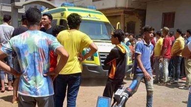 Photo of تفاصيل جديدة في حادث ذبح 3 أطفال وإصابة والدتهم بالدقهلية