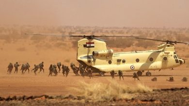 Photo of استشهاد ضابط و10 جنود في هجوم إرهابي على إحدى محطات رفع المياه بمنطقة شرق القناة