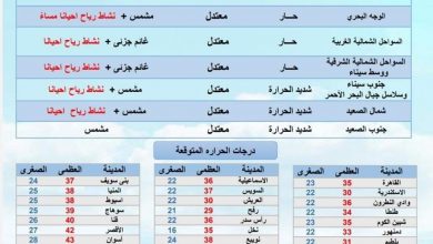 Photo of الأرصاد الجوية تعلن عن حالة الطقس المتوقعة للغد