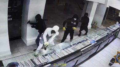 Photo of السجن المشدد من 5 الى 7 سنوات لـ 8 متهمين بسرقة محل مجوهرات بالقليوبية