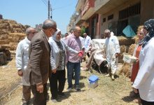 Photo of تحصين ٣٢٣ راس من الماشية ضد الحمى القلاعية وحمى الوادى المتصدع ببنها