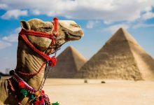 Photo of “صحف عالمية” تقرير أمريكي: مصر من أكثر الوجهات السياحية شعبية فى العالم