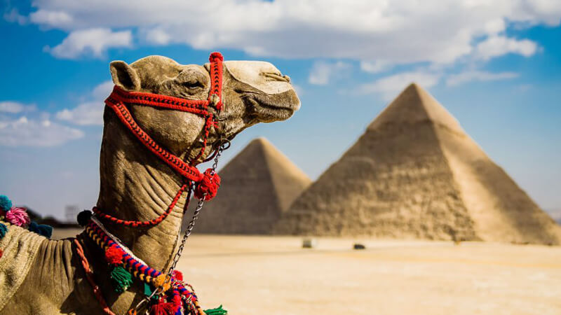 Film Daily called on the American tourist to visit Egypt and enjoy all its various archaeological and historical components, stressing that Egypt is one of the most popular tourist destinations in the world and one of the most beautiful and richest countries in the world at the historical and cultural levels. Very friendly, generous and hospitable. Under the title "6 Reasons Why You Should Visit Egypt Right Now" The American website said that the tourism sector in Egypt is witnessing a remarkable recovery and recovery, noting that there are many reasons that make a trip to the land of the Pharaohs these days an unforgettable experience, explaining that this tourism boom has proven Egypt's ability to withstand challenges and difficult global conditions. Rich history and wonderful culture He added, “Egypt is a major destination for tourists from all over the world, and given its rich history, fascinating culture, and scenic and enchanting landscapes, there are so many things that everyone can enjoy in this amazing country.” The site considered that visiting Egypt is "taking a trip through time to see one of the most powerful empires in the world, and an opportunity to learn about a wonderful culture and see some of the most impressive architectural works in all of human history." The site indicated that although many tourists come to Egypt every year to see the Pyramids of Giza, which is one of the seven wonders of the ancient world, there are many other treasures that can be enjoyed in this ancient land; Such as the Egyptian Museum in Tahrir Square, which is home to an impressive collection of artifacts, and the ancient temples of Luxor, ancient Thebes. Breathtaking enchanting nature He continued, "There is something truly magical about the landscape in Egypt, it is a carefully designed piece of architecture, whether you go to the Pyramids of Giza or other amazing monuments, there are many ways to enjoy these breathtaking sites, which are among the most famous in the world. ". Various food items and skilled chefs The report went on to list the reasons for visiting Egypt at the present time, “Egypt has many different types of food, both protein and vegetarian dishes, and the chefs are really skilled in preparing delicious food, and they are always trying new recipes so, if you are interested in trying food Well, you should definitely come to Egypt on one of your trips." The report stated that Egypt has many local markets that offer distinguished goods at the best prices from handmade gifts to souvenirs, in addition to shops selling traditional Egyptian clothing and jewelry and other "exquisite things and interesting treasures." Vibrant country وتابع: "مصر بلد نابض بالحياة معروفة بحياتها الليلية المثيرة ومهرجاناتها وحفلاتها المثيرة التي لا تنام، وبالرغم من أهمية زيارة الأهرامات وأبوالهول، لن تكتمل رحلتك دون تجربة الحياة الليلية بمدن هذا البلد المثير".دعا موقع "فيلم ديلي" السائح الأمريكي إلى زيارة مصر والاستمتاع بكل ما تتمتع به من مقومات أثرية وتاريخية متنوعة، مؤكدًا أن مصر تعد واحدة من أكثر الوجهات السياحية شعبية في العالم وواحدة من أجمل دول العالم وأكثرها ثراءً على المستويين التاريخي والثقافي، فضلًا عن أن أهلها ودودون للغاية ويتميزون بالكرم وحسن الضيافة. تحت عنوان "6 أسباب تدفعك لزيارة مصر في الوقت الحالي" قال الموقع الأمريكي، إن قطاع السياحة في مصر يشهد انتعاشًا وتعافيًا ملحوظًا، مشيرًا إلى أن هناك العديد من الأسباب التي تجعل القيام برحلة إلى أرض الفراعنة هذه الأيام تجربة لا تُنسى، موضحًا أن هذا الانتعاش السياحي أثبت قدرة مصر على الصمود أمام التحديات والظروف العالمية الصعبة.  تاريخ غني وثقافة رائعة وأضاف: "تعد مصر وجهة رئيسية للسياح من مختلف أنحاء العالم، وبالنظر إلى تاريخها الغني، وثقافتها الرائعة، ومناظرها الطبيعية الخلابة والساحرة، هناك الكثير من الأشياء التي يمكن للجميع الاستمتاع بها في هذا البلد المذهل". واعتبر الموقع أن زيارة مصر بمثابة "القيام برحلة عبر الزمن لمشاهدة واحدة من أقوى الإمبراطوريات في العالم، وفرصة للتعرف على ثقافة رائعة ورؤية بعض الأعمال المعمارية الأكثر إثارة للإعجاب في التاريخ الإنساني أجمع".  وأشار الموقع إلى أنه بالرغم من العديد من السياح يأتون إلى مصر كل عام لمشاهدة أهرامات الجيزة التي تعد واحدة بين عجائب الدنيا السبع القديم، إلا أن هناك العديد من الكنوز الأخرى التي يمكن الاستمتاع بها في هذه الأرض القديمة؛ مثل المتحف المصري بميدان التحرير الذي يعد موطنًا لمجموعة رائعة من القطع الأثرية، والمعابد الأثرية بمدينة الأقصر، طيبة القديمة. طبيعة ساحرة تخطف الأنفاس وتابع: "هناك شيء ساحر حقًا في المناظر الطبيعية الموجودة في مصر، فهي قطعة معمارية مصممة بعناية، سواء ذهبت إلى أهرامات الجيزة أو غيرها من المعالم الأثرية المذهلة، هناك العديد من الطرق للاستمتاع بهذه المواقع التي تخطف الأنفاس، وتعد من أكثر المعالم شهرة في العالم". أصناف طعام مختلفة وطهاة ماهرون وواصل التقرير في سرد الأسباب التي تدفع إلى زيارة مصر في الوقت الحالي "مصر بها العديد من أصناف الطعام المختلفة، سواء الأطباق البروتينية أو النباتية، وبها طهاة ماهرون حقًا في إعداد الطعام اللذيذ، وهم يحاولون دائمًا تجربة وصفات جديدة لذا، إذا كنت مهتمًا بتجربة طعامًا جيدًا فعليك حتمًا المجيء إلى مصر في إحدى رحلاتك".  وذكر التقرير، أن مصر بها العديد من الأسواق المحلية التي تعرض سلعًا مميزة بأفضل الأسعار من الهدايا المصنوعة يدويًا إلى الهدايا التذكارية، بالإضافة إلى المتاجر التي تبيع الملابس والمجوهرات المصرية التقليدية وغيرها من "الأشياء الرائعة والكنوز الشيقة".  بلد نابض بالحياة وتابع: "مصر بلد نابض بالحياة معروفة بحياتها الليلية المثيرة ومهرجاناتها وحفلاتها المثيرة التي لا تنام، وبالرغم من أهمية زيارة الأهرامات وأبوالهول، لن تكتمل رحلتك دون تجربة الحياة الليلية بمدن هذا البلد المثير".