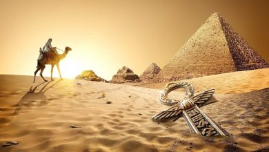 Photo of “International Newspapers” American report: Egypt is one of the most popular tourist destinations in the world