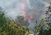 Photo of حرائق هائلة في الغابات بجنوب غرب تركيا