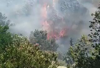 Photo of حرائق هائلة في الغابات بجنوب غرب تركيا