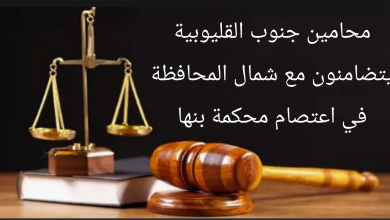 Photo of محامين جنوب القليوبية يتضامنون مع محام شمال المحافظة في اعتصام محكمة بنها