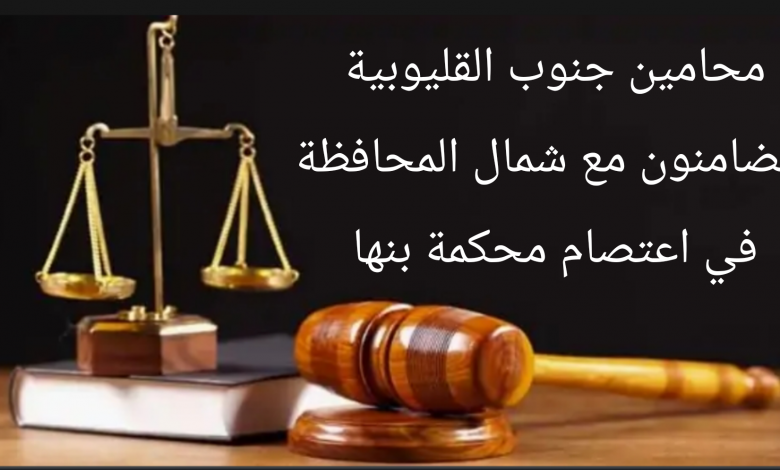 Photo of محامين جنوب القليوبية يتضامنون مع محام شمال المحافظة في اعتصام محكمة بنها