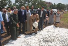 Photo of إحتفالا بعيد الفلاح.. محافظ القليوبية يشهد جني محصول القطن بأحد الحقول بالمحافظة