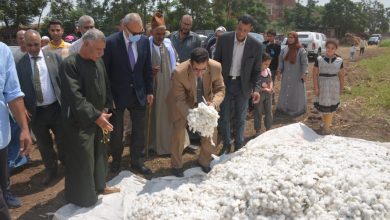 Photo of إحتفالا بعيد الفلاح.. محافظ القليوبية يشهد جني محصول القطن بأحد الحقول بالمحافظة