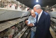 Photo of محافظ القليوبية يتفقد مشروع ال 30 مليون بيضة