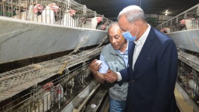Photo of محافظ القليوبية يتفقد مشروع ال 30 مليون بيضة