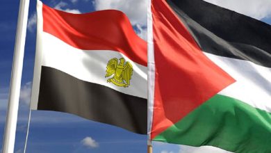 Photo of مصر تؤكد أن القضية الفلسطينية ستظل دائما قضية العرب الأولى