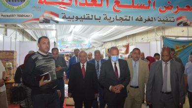 Photo of محافظ القليوبية يفتتح معرضي للسلع الغذائية بمدينتى بنها وحي غرب شبرا الخيمة بأسعار مخفضة