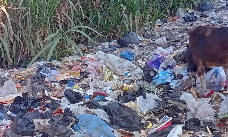 Photo of بالصور.. الأهالي يناشدون المسؤولين رفع القمامة من شوارع عزبة المتيني بالقليوبية