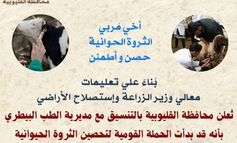 Photo of بدء إنطلاق الحملة القومية لتحصين الماشية ضد مرضي الجلد العقدى وجدرى الأغنام بجميع بالقليوبية