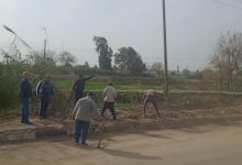 Photo of مبادرات مجتمعية بقرية كفر الجزار ببنها للتجميل والتشجير.. صور