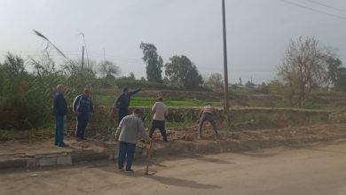 Photo of مبادرات مجتمعية بقرية كفر الجزار ببنها للتجميل والتشجير.. صور