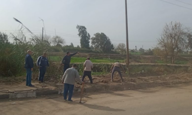Photo of مبادرات مجتمعية بقرية كفر الجزار ببنها للتجميل والتشجير.. صور