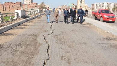 Photo of محافظ القليوبية ورئيس جهاز تعمير القاهرة الكُبرى يتفقدان أعمال تطوير المرحلة الثانية من شارع فريد ندا ببنها 