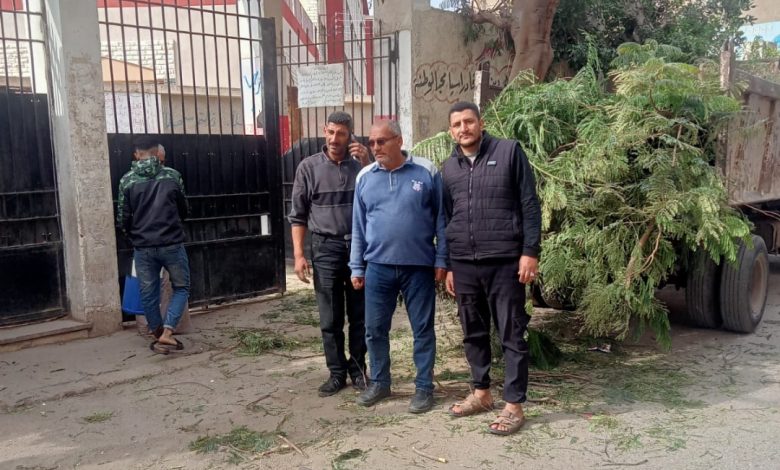 Photo of صور.. إدارة الحدائق بمجلس مدينة بنها تواصل تقليم الأشجار بالشوارع