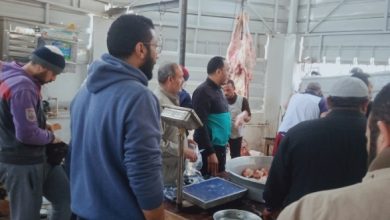 Photo of اطلاق مبادرة لبيع اللحوم البلدى بسعر ١٧٠ جنيه للكيلو في بنها