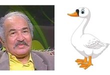 Photo of من الذي قتل الوزة.. جريمة من أغرب جرائم اهدار المال العام في الفن