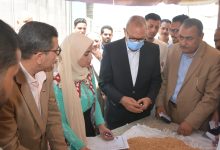 Photo of محافظ القليوبية يتفقد مجمع صوامع عرب العليقات بمدينة الخانكة