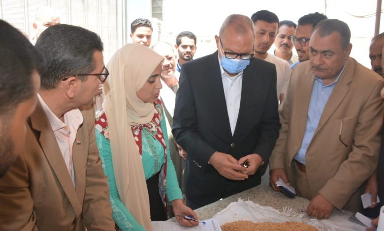 Photo of محافظ القليوبية يتفقد مجمع صوامع عرب العليقات بمدينة الخانكة