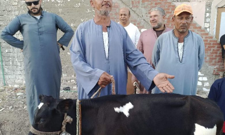 Photo of الطب البيطري بالبحيرة يكشف مفاجاة بشان البقرة المبروكة 