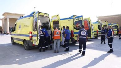 Photo of الصحة: وصول أول مجموعة من الأشقاء الفلسطينيين المصابين في أحداث “غزة ” لعلاجهم بمصر