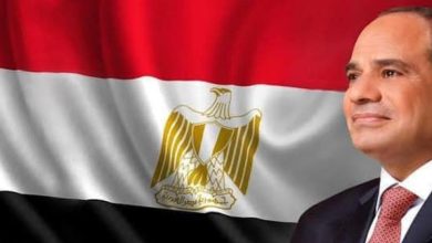 Photo of قرار جمهوري بتخصيص أرض بالأقصر لاستخدامها في إقامة محطة مياه للشرب