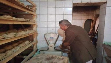 Photo of تموين المنيا يضبط ٢٣٩ مخالفة متنوعة خلال حملات على المخابز البلدية والأسواق