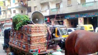 Photo of ميكروفونات الباعة الجائلين في الشوارع.. صوت عالٍ يشوّش على هدوء الحياة!