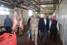 Photo of محافظ القليوبية يتفقد مجازر الأضاحي للاطمئنان على جاهزيتها لاستقبال الأضحي خلال أيام العيد