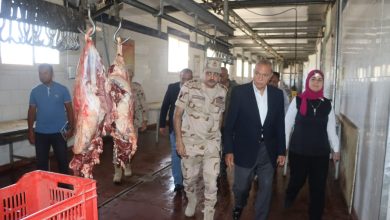 Photo of محافظ القليوبية يتفقد مجازر الأضاحي للاطمئنان على جاهزيتها لاستقبال الأضحي خلال أيام العيد