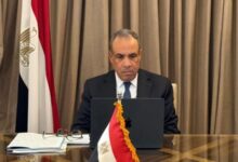 Photo of وزير الخارجية: قوة العالم العربي تكمن في وحدته