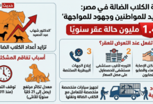 Photo of رئيس جمعية الرفق بالحيوان: 1.4 مليون حالة عقر سنويًا بسبب الكلاب الضالة في مصر